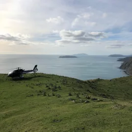 Helicopter parked on a grassy hilltop overlooking the Wellington coastline and distant islands
