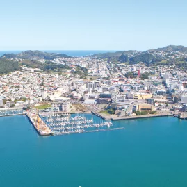 Aerial view of Wellington city and harbour with boats docked at the marina