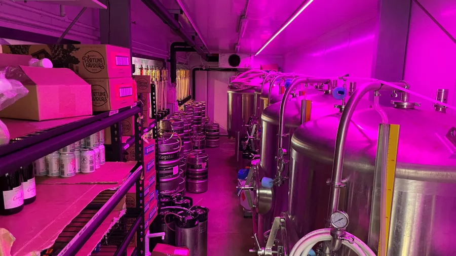 Inside the Fortune Favours brewery showing kegs, tanks, and equipment under purple lighting