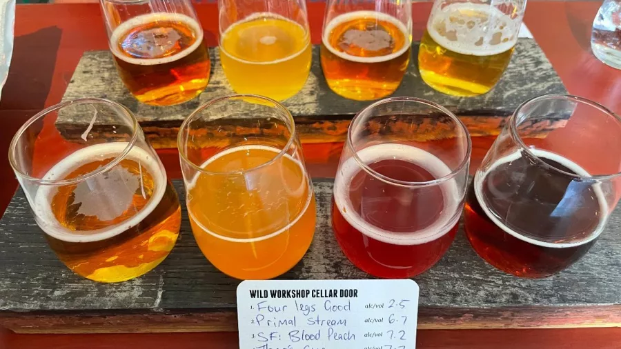 Tasting flight of craft beers at Garage Project Wild Workshop in Wellington