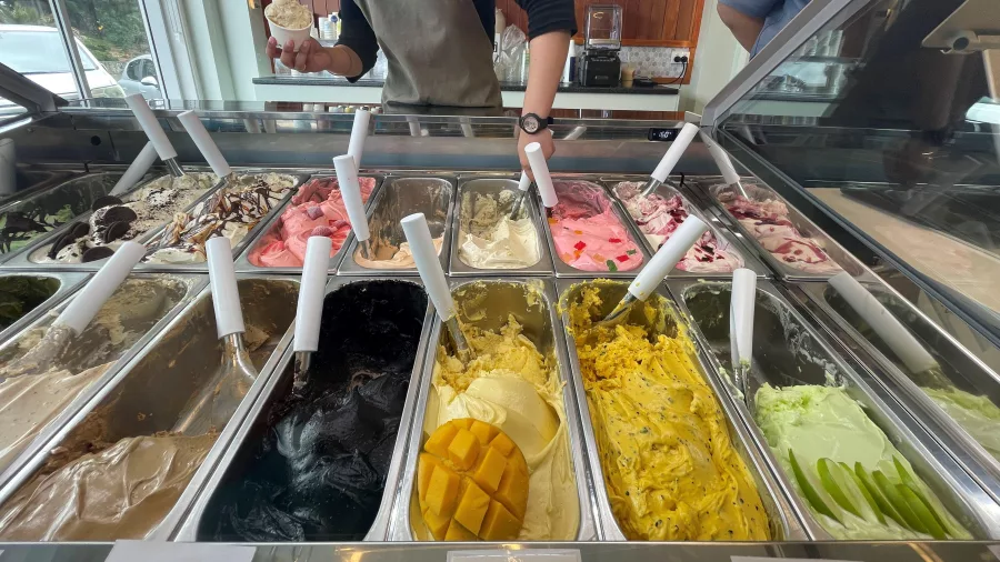 Staff member scooping gelato from a colourful display case at Lamoon Gelato in Kāpiti