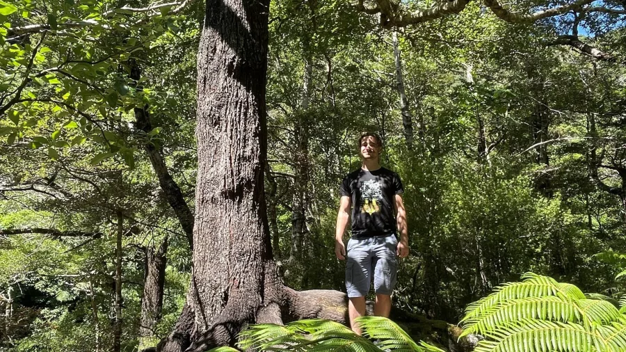 Traveller standing among tall native trees and ferns at the Rivendell filming location in Kaitoke Regional Park