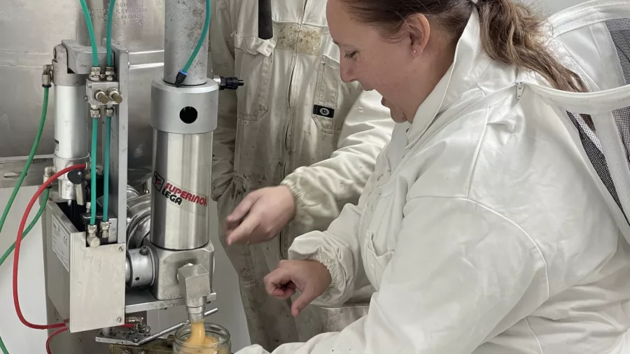 Guest filling a jar of honey at Greytown Honey facility