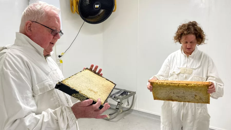 Guests in beekeeping suits holding honeycomb frames at Greytown Honey