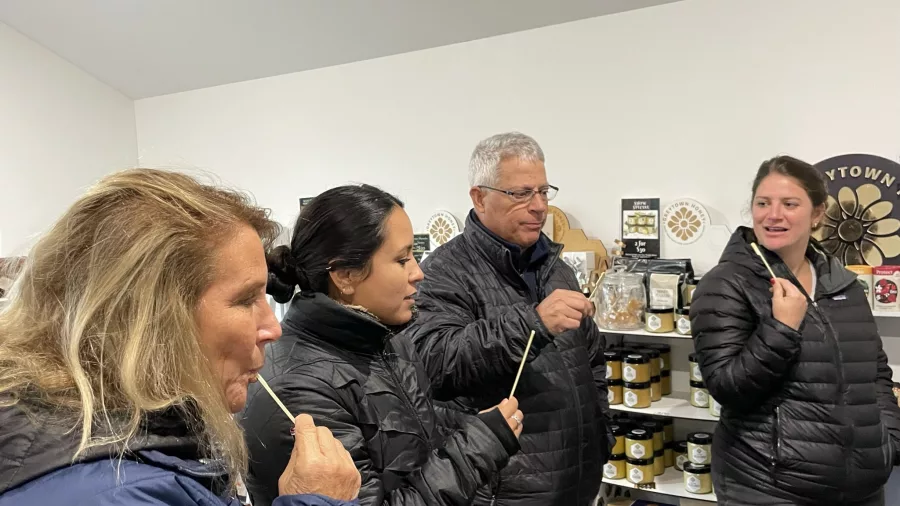 Group tasting honey at Greytown Honey tasting room