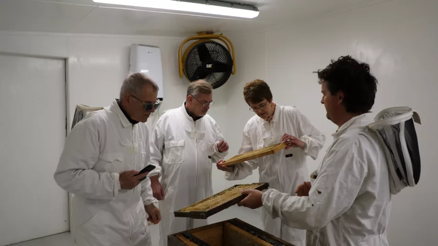 Guests inspecting honeycomb frames during a hands-on beekeeping session at Greytown Honey