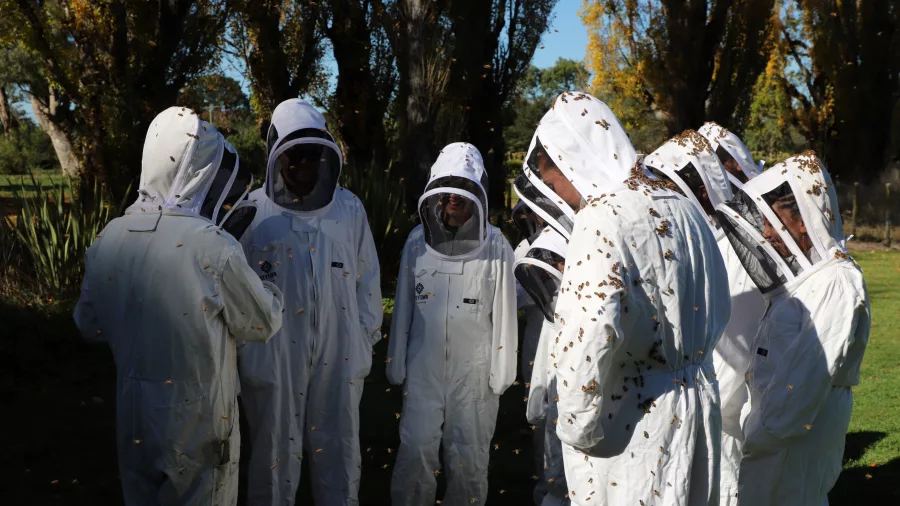 Visitors in full beekeeping suits during an outdoor honey tour at Greytown Honey