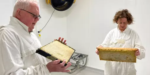 Guests in beekeeping suits holding honeycomb frames at Greytown Honey