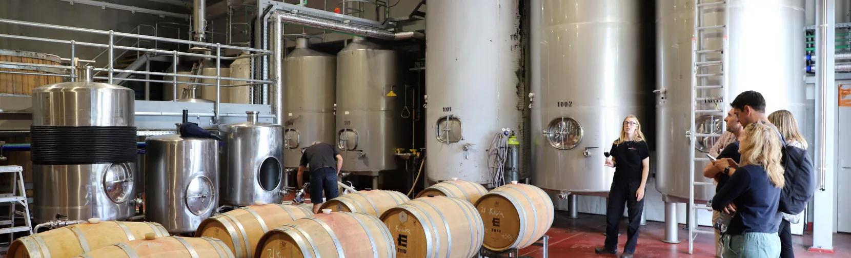 Group touring a modern fermentation room with wine barrels and stainless steel tanks in Martinborough