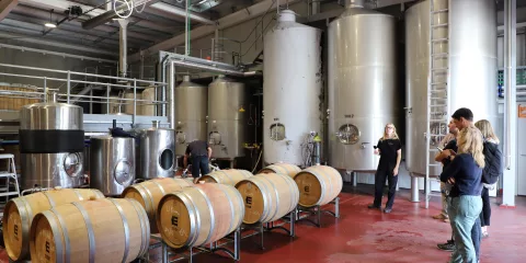 Group touring a modern fermentation room with wine barrels and stainless steel tanks in Martinborough
