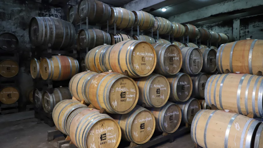 Stacked oak wine barrels in a dimly lit cellar at Escarpment in Martinborough