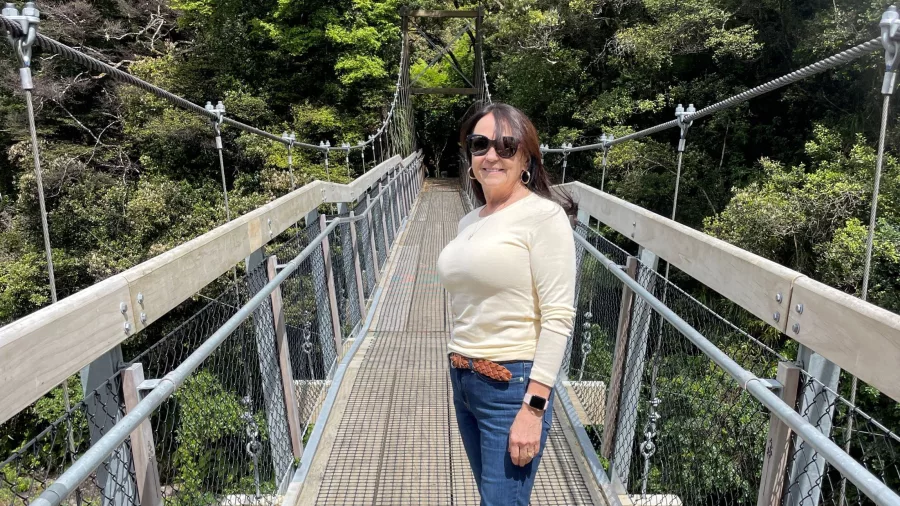 Person standing on the suspension bridge at Rivendell set in Kaitoke Regional Park