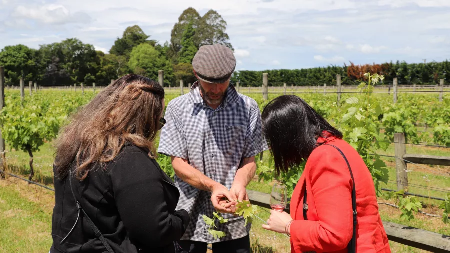 Guests learning about grape vines during a vineyard tour at Le Gra in Opaki