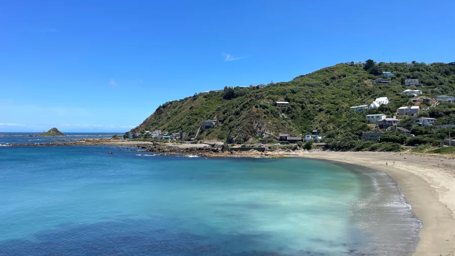 Clear view of Houghton Bay with turquoise waters and hillside homes in Wellington
