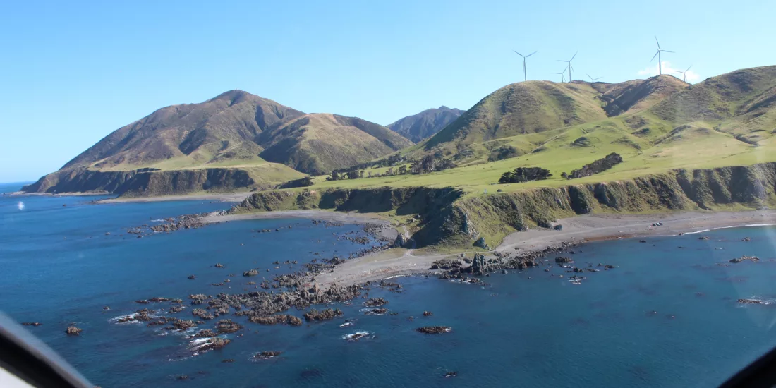 Aerial view of Wellington’s rugged South Coast during helicopter descent