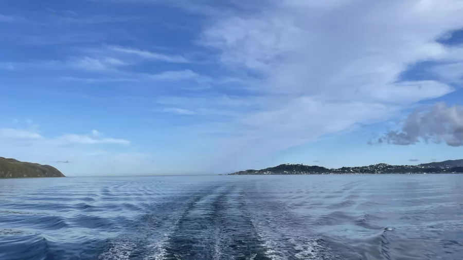 Wake of a ferry leaving Wellington Harbour with views of the coastline and sky