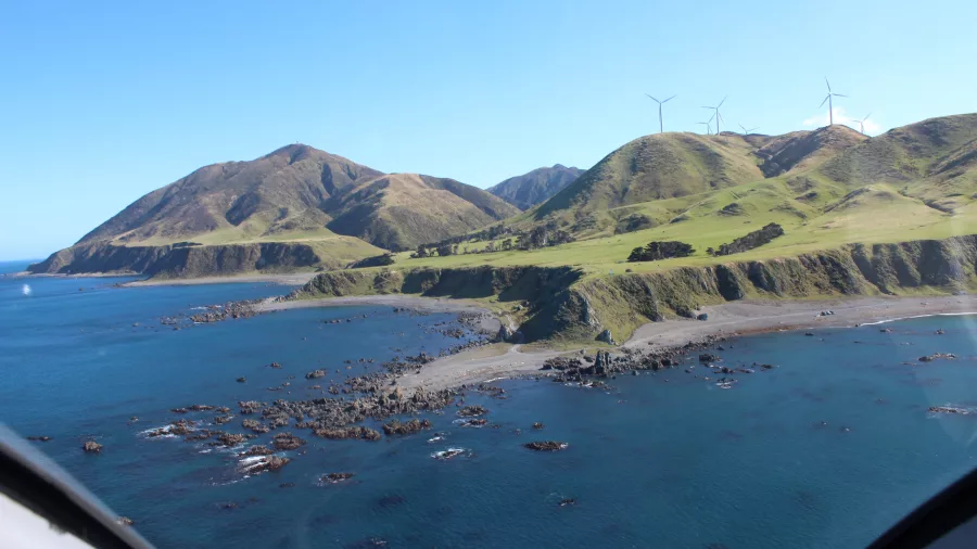 Aerial view of Wellington’s rugged South Coast during helicopter descent