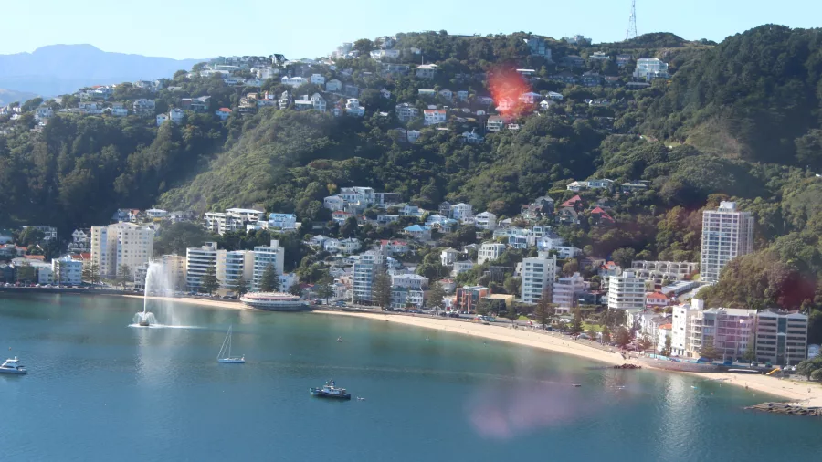 Aerial view of Oriental Bay with fountain, beach, and hillside homes