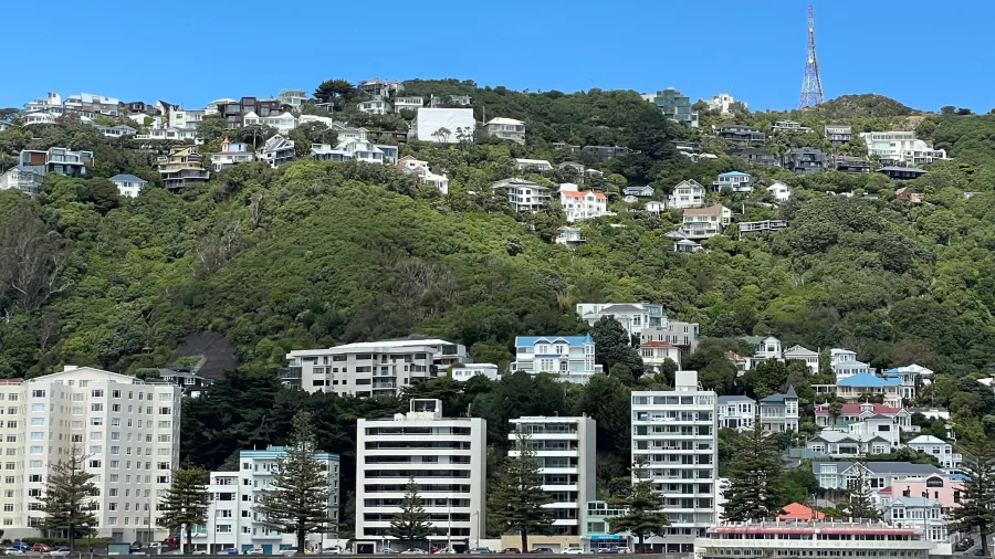View of hilltop houses above Oriental Bay from Wellington Harbour