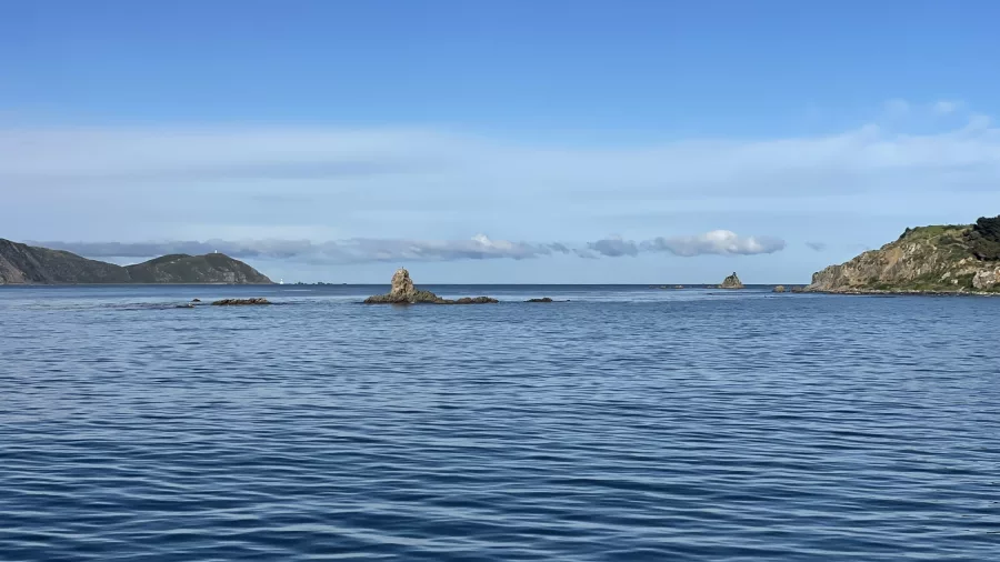 View of Steeple Rock in Wellington Harbour on a clear day