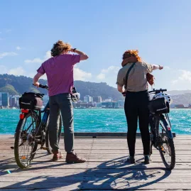 Two cyclists with e-bikes looking over Wellington Harbour during a guided bike tour