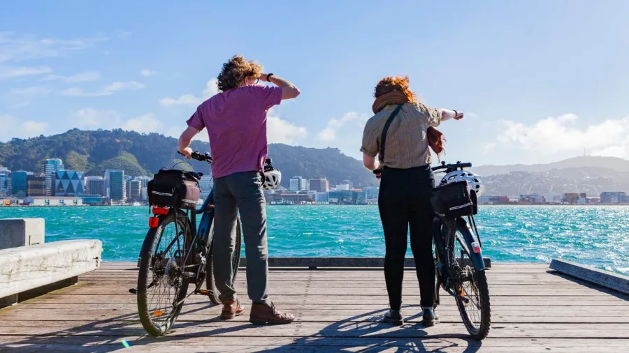 Two cyclists with e-bikes looking over Wellington Harbour during a guided bike tour