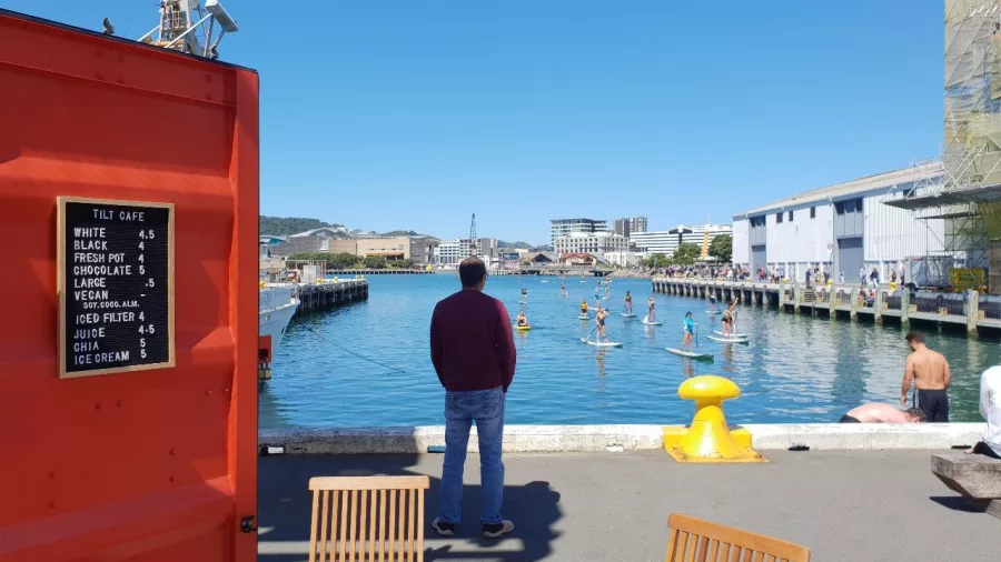 Man standing by Tilt Cafe watching paddleboarders on Wellington waterfront
