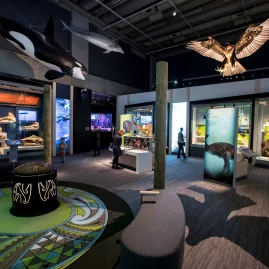 Te Taiao Natural Environment exhibit at Te Papa Museum in Wellington