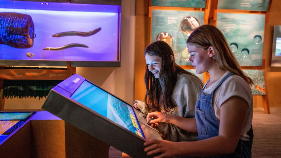 Two girls using an interactive freshwater exhibit at Te Papa museum in Wellington