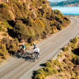 Group of cyclists riding eBikes along the scenic Pencarrow coastal road in Wellington