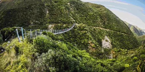 Cyclists crossing the Siberia Gully swing bridge on the Remutaka Cycle Trail, surrounded by lush green hills in New Zealand