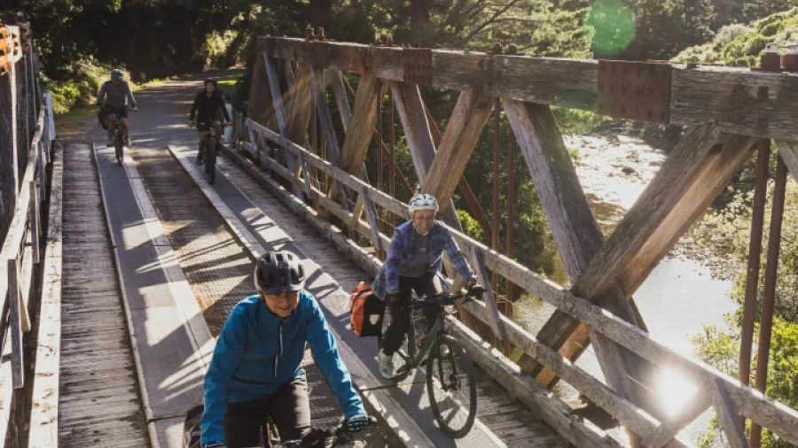 Cyclists riding across a long swing bridge on the Remutaka Cycle Trail surrounded by native bush