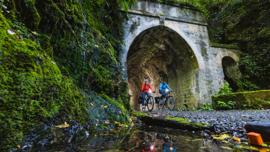 Cyclists riding through a mossy tunnel on the Remutaka Cycle Rail Trail