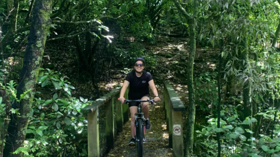 Cyclist crossing a small bridge surrounded by lush forest on the Hutt River Trail