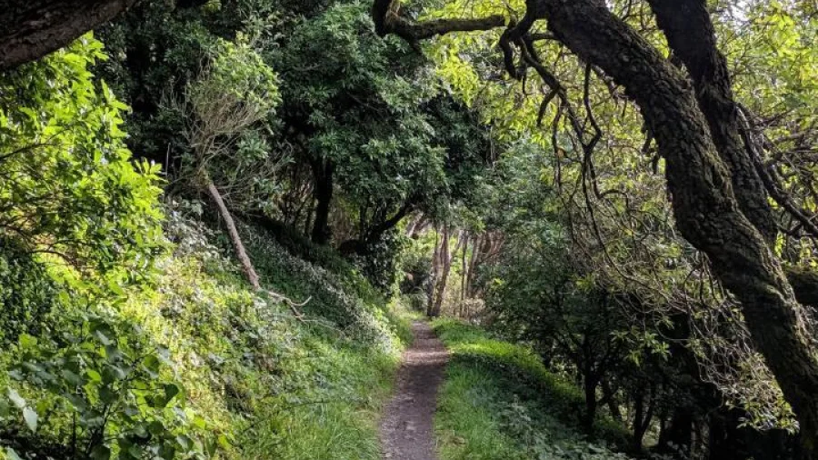 Bike Hire at Kaitoke | Explore the Remutaka Rail Trail by Bike