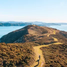 Two cyclists riding along a grassy trail toward Pencarrow Lighthouse with Wellington Harbour in the background
