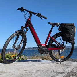 Step-through Moustache e-bike parked on a wooden platform with ocean views in Days Bay