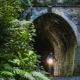 Cyclist exiting a forest tunnel with headlight on the Remutaka Cycle Trail