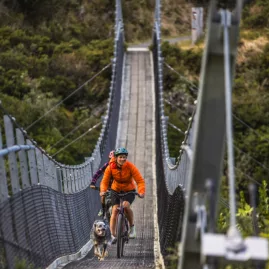 Cyclist and dog crossing a swingbridge on the Remutaka Cycle Trail near Wellington