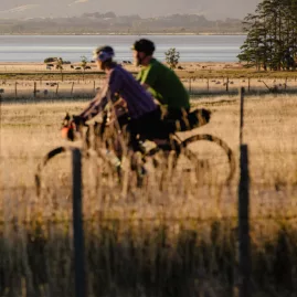 Cyclists ride along Western Lake Road on the Remutaka Cycle Trail at sunset