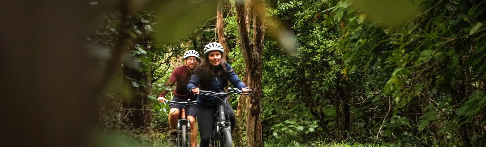 Cyclists enjoying a scenic forest ride on the Remutaka Rail Trail with Wildfinder
