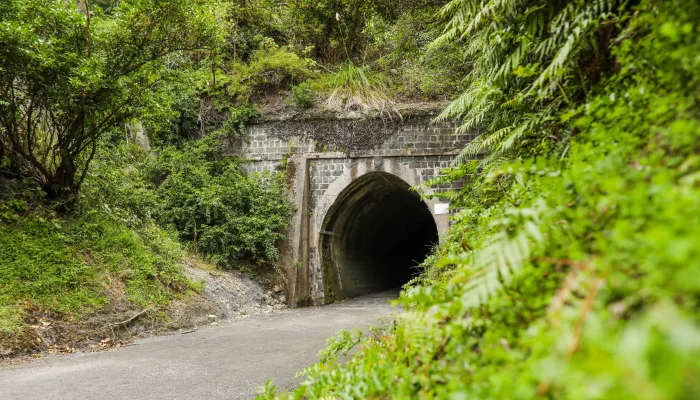 Entrance to a tunnel surrounded by native bush on the Remutaka Cycle Trail in Hutt Valley