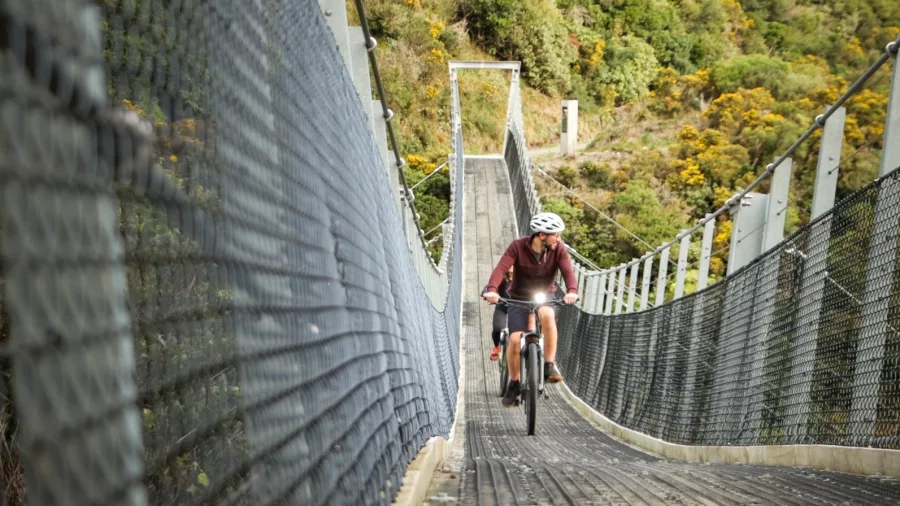 Cyclists enjoying a scenic forest ride on the Remutaka Rail Trail with Wildfinder