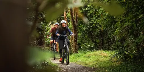 Cyclists enjoying a scenic forest ride on the Remutaka Rail Trail with Wildfinder