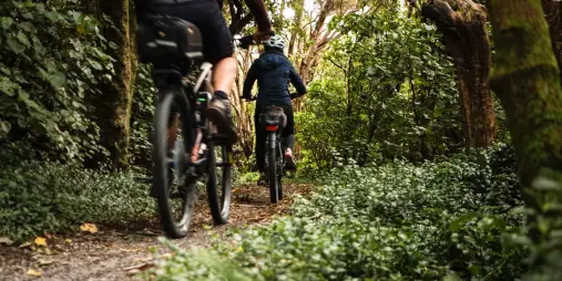 Cyclists riding through dense native forest on the Remutaka Rail Trail with Wildfinder
