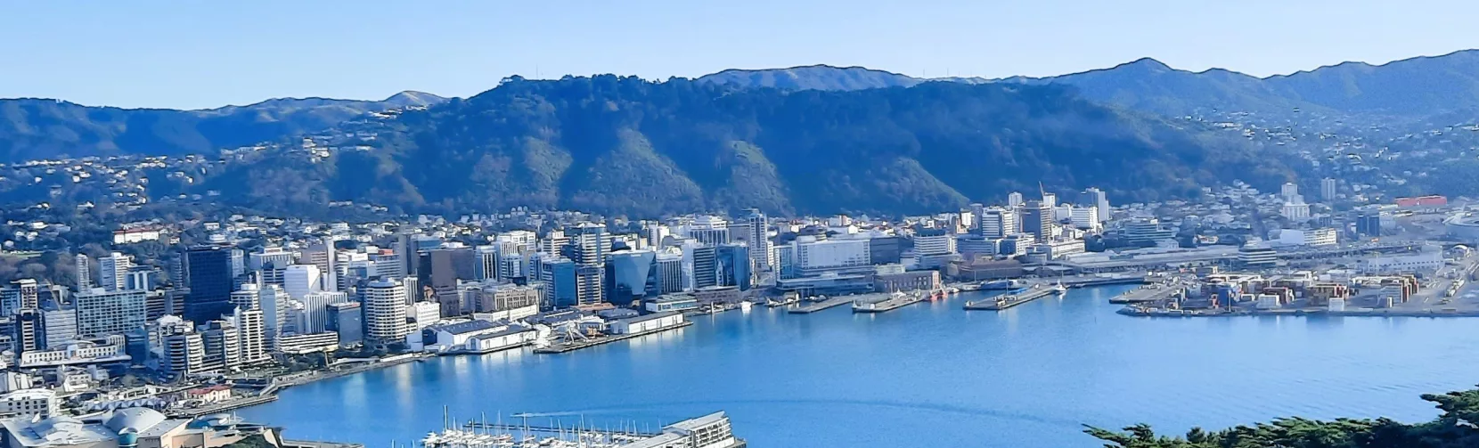 A panoramic view of Wellington Harbour and city skyline taken from a lookout point