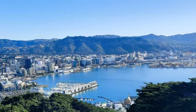 A panoramic view of Wellington Harbour and city skyline taken from a lookout point