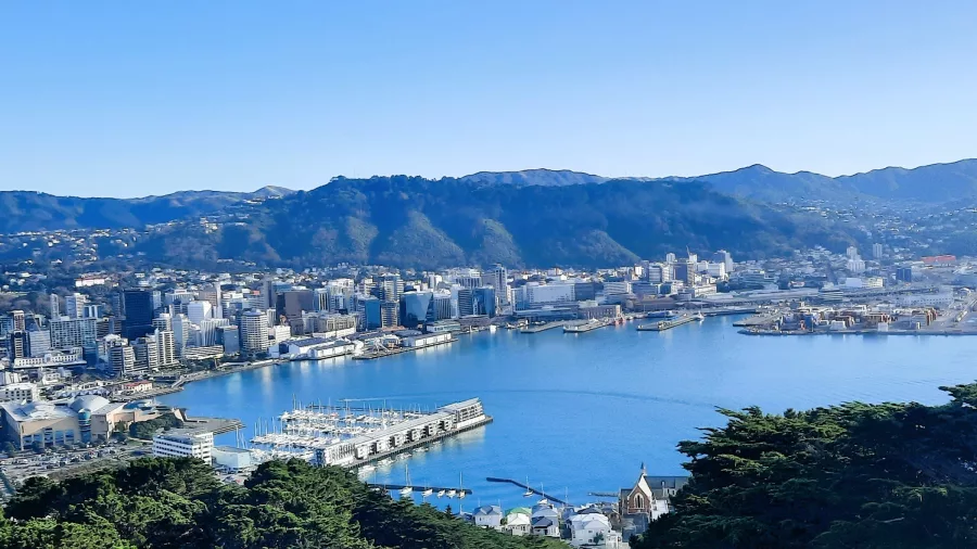 A panoramic view of Wellington Harbour and city skyline taken from a lookout point