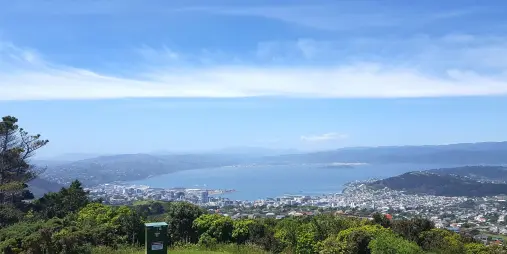 View from Mount Victoria Lookout over Wellington Harbour and the city skyline