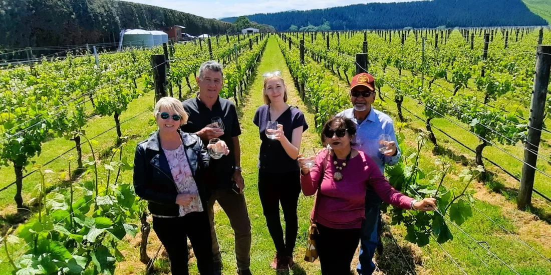 Group of people walking through vineyard with wine glasses in Martinborough